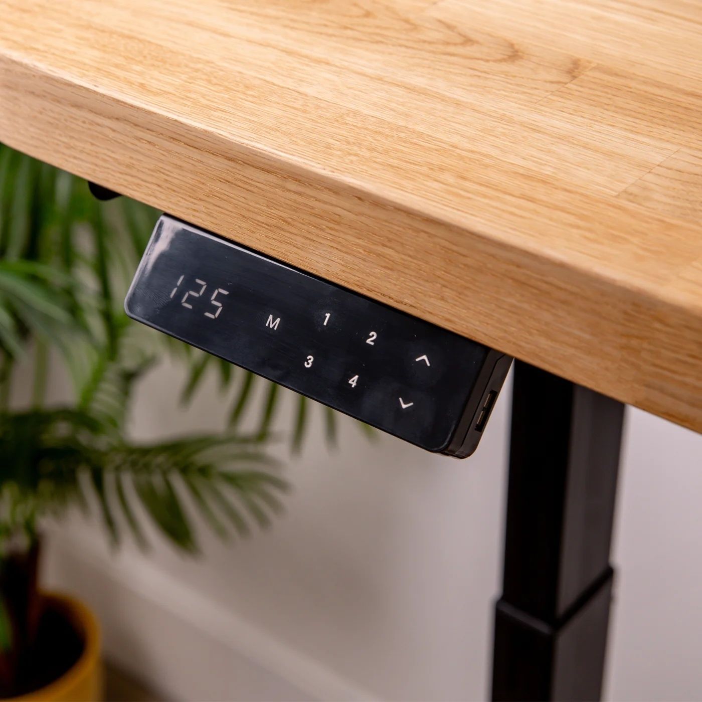 Domli Premium Dual Motor Black Standing Desk With Oak Solid Wood Desktop 1500mm X 800mm / 27mm / Oiled photo Furniture