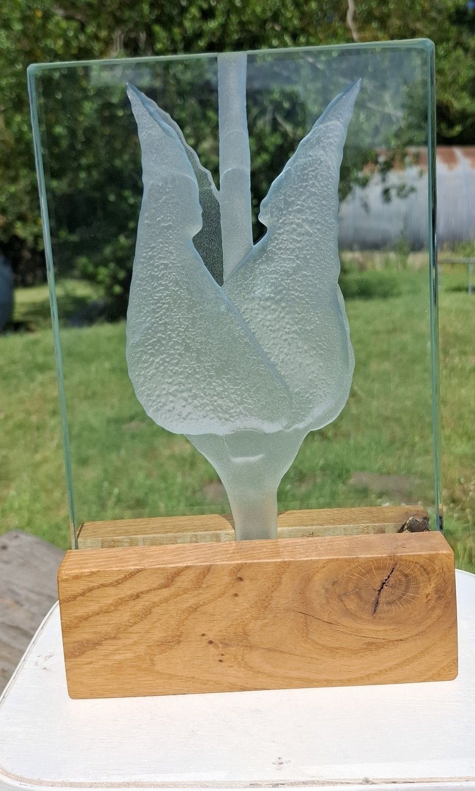 Contemporary Tim Carter Rutland Glass Plaque  Mouse Ear Chicweed Engraving photo for sale