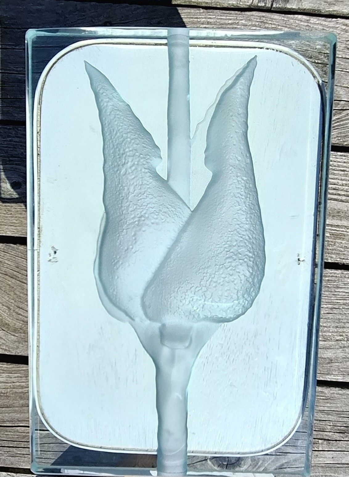 photo buy Contemporary Tim Carter Rutland Glass Plaque  Mouse Ear Chicweed Engraving