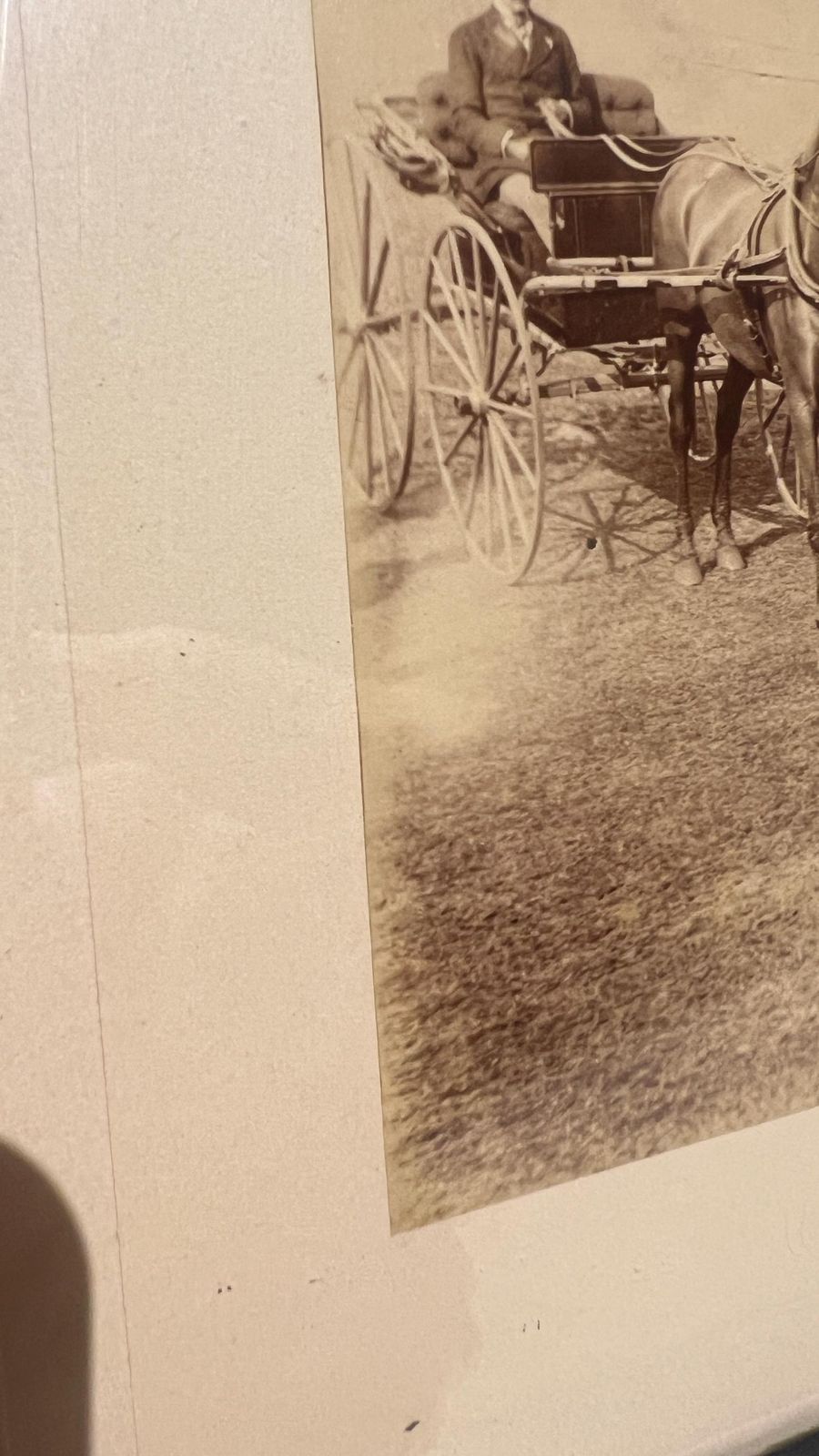 1960s 70s Vintage Horse And Carriage Event Photograph – Signed And Framed photo vintage