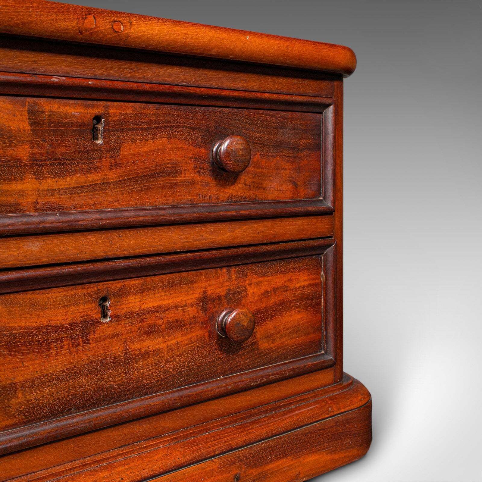 photo furniture Pair Of Antique Collector's Chests, English, Specimen Cases, Victorian, C.1870