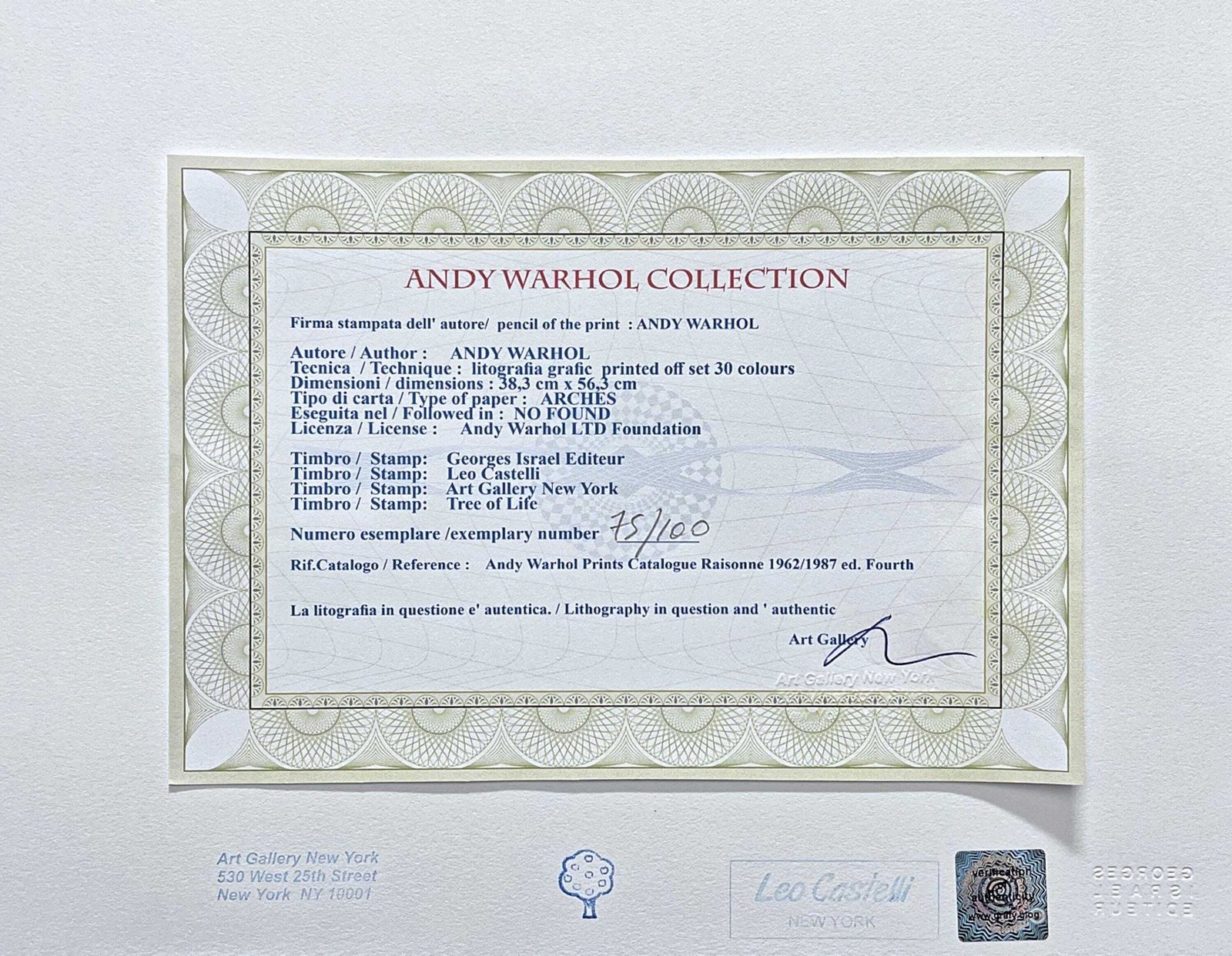 Andy Warhol   Sanda Brant   Signed, Numbered Edition Of 100, 38 X 56 Cm, Edition Leo Castelli photo 444.0