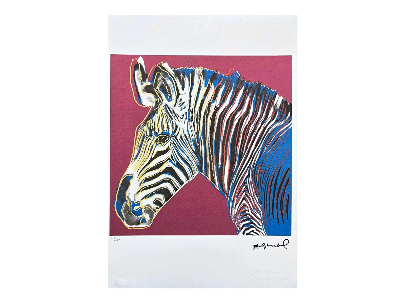 Andy Warhol  Grevy’s Zebra   Signed, Certificate, Limited Edition Of 100, 38 X 56 Cm, Edition Leo Castelli #Warhol