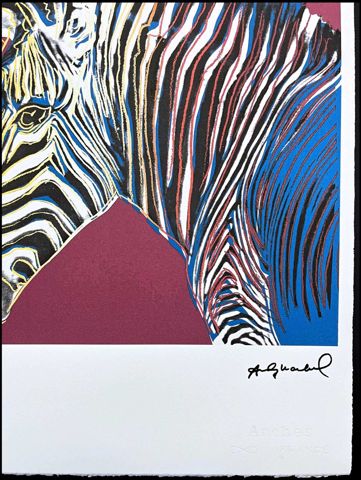 Andy Warhol  Grevy’s Zebra   Signed, Certificate, Limited Edition Of 100, 38 X 56 Cm, Edition Leo Castelli #Warhol photo Art