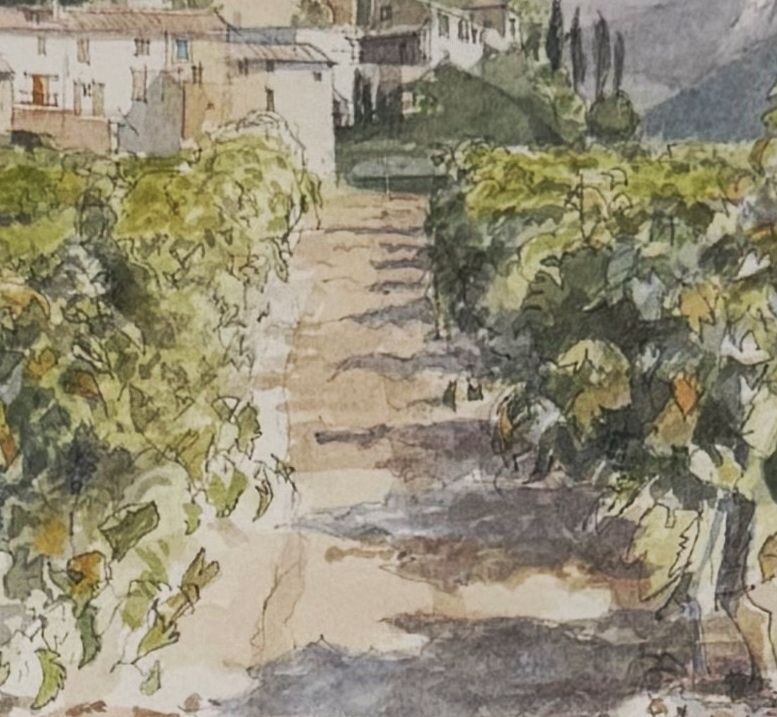 Barry Owen Jones   Through The Vines, Fauçon photo Art