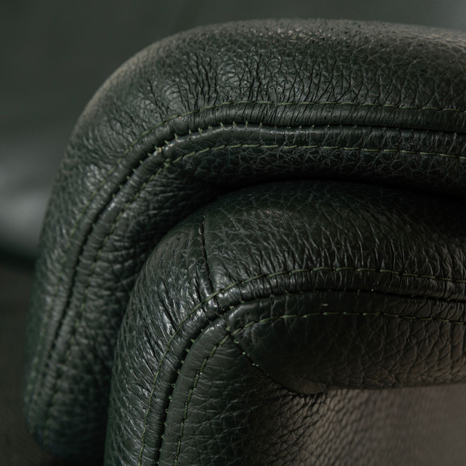 Erpo City Leather Armchair Green Manual Function photo buy