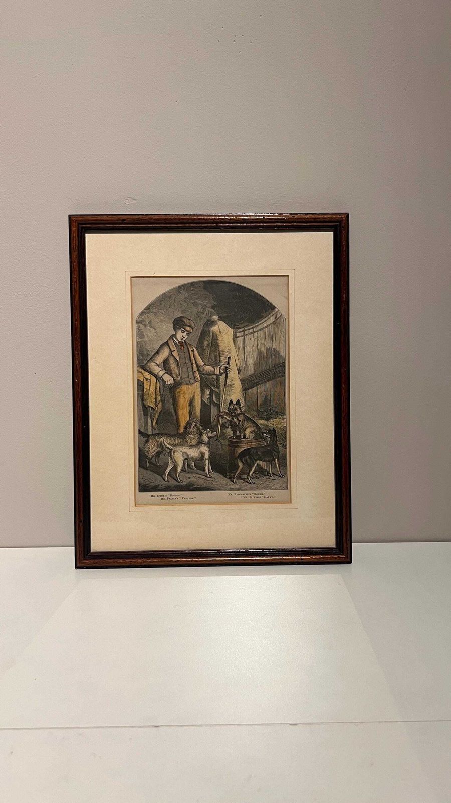 Antique 19th Century Book Print Of Dog Breeds And Handler – Framed And Glazed photo furniture