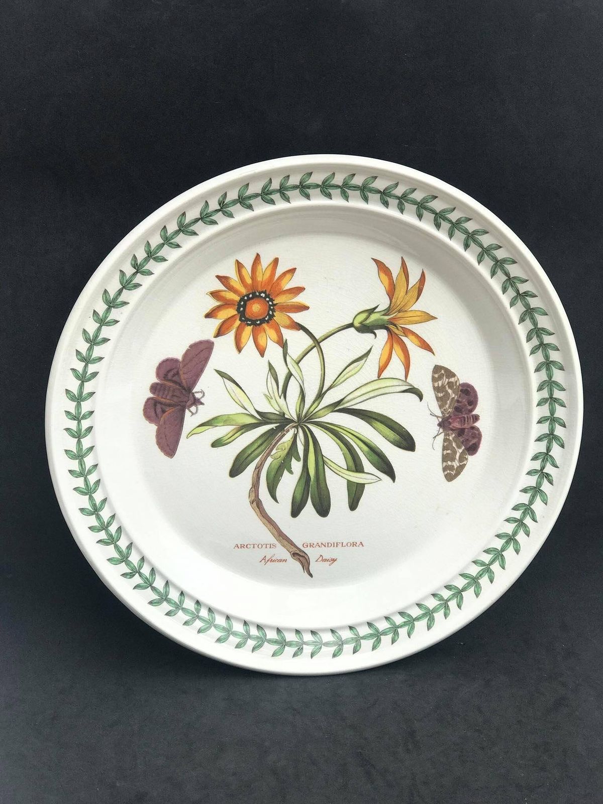 Portmeirion Botanica Dinerbord, Jaren 70, Botanic Garden Patroon, "Cistus Purpureus / Woody Nightshade", Made In England, Losse Aanvulling Op Bestaand Servies photo 171.0