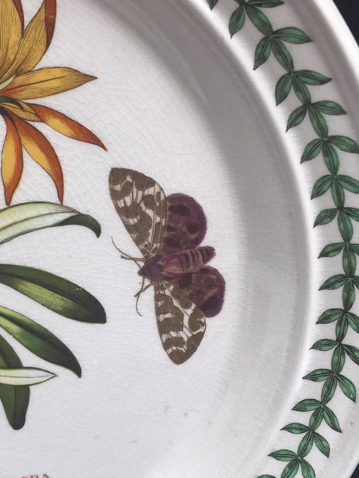 Portmeirion Botanica Dinerbord, Jaren 70, Botanic Garden Patroon, "Cistus Purpureus / Woody Nightshade", Made In England, Losse Aanvulling Op Bestaand Servies photo vinterior
