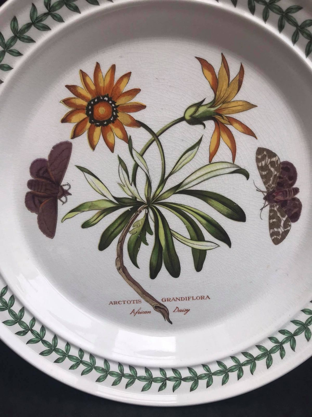 photo furniture Portmeirion Botanica Dinner Plate 70s Botanic Garden Dinner Plate Cistus Purpureus" Woody Nightshade Made In England China Replacement