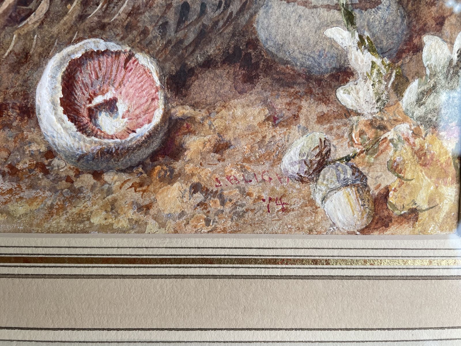 Jebez Blight   Victorian Still Life Watercolour Of Mushrooms In A Basket photo Art