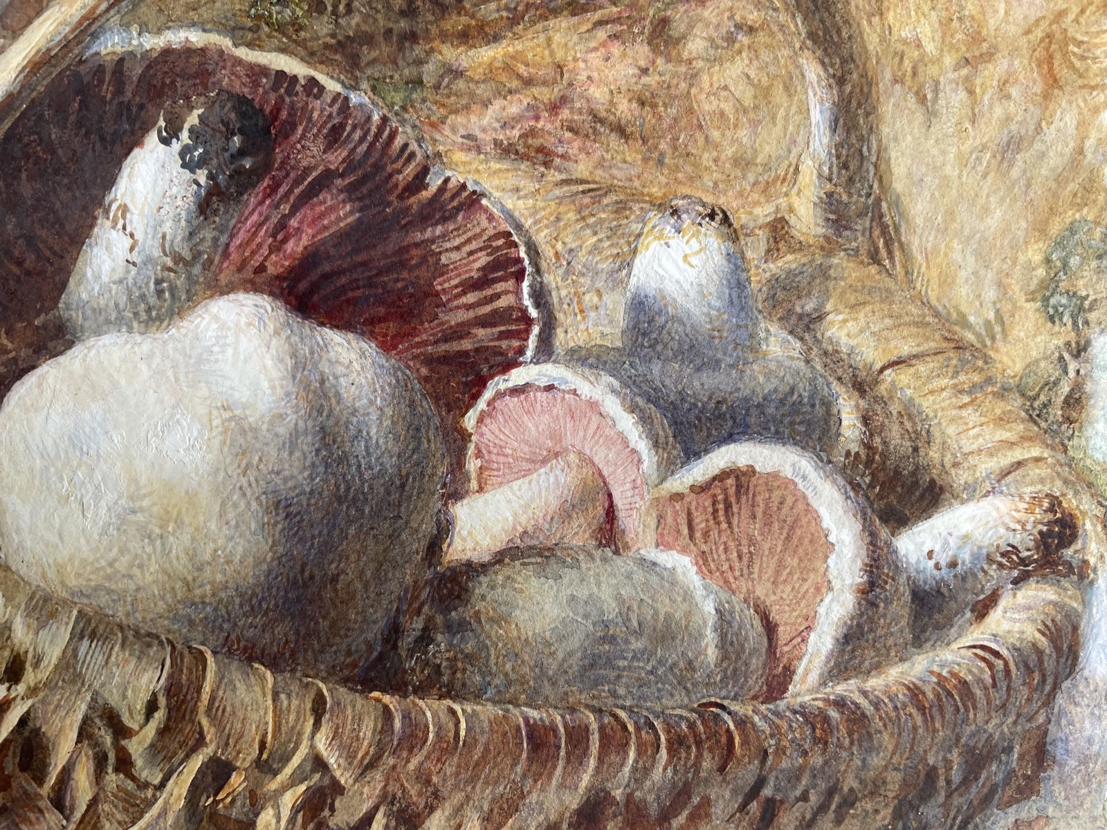 Jebez Blight   Victorian Still Life Watercolour Of Mushrooms In A Basket photo vinterior