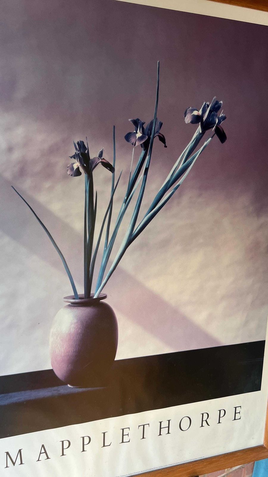 Stunning Large Robert Mapplethorpe Framed Floral Print In Solid Oak Frame photo vinterior