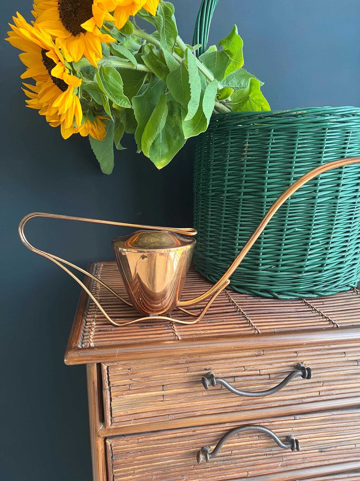 Vintage Sigg Copper Watering Can   Mid Century Modern Swiss Design