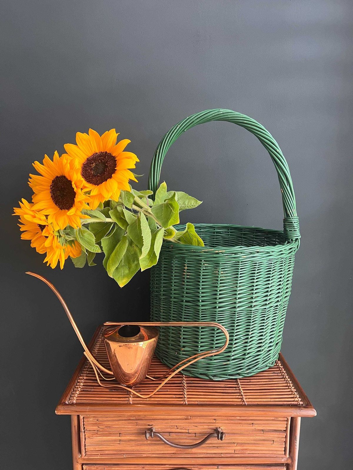 Vintage Sigg Copper Watering Can   Mid Century Modern Swiss Design photo buy