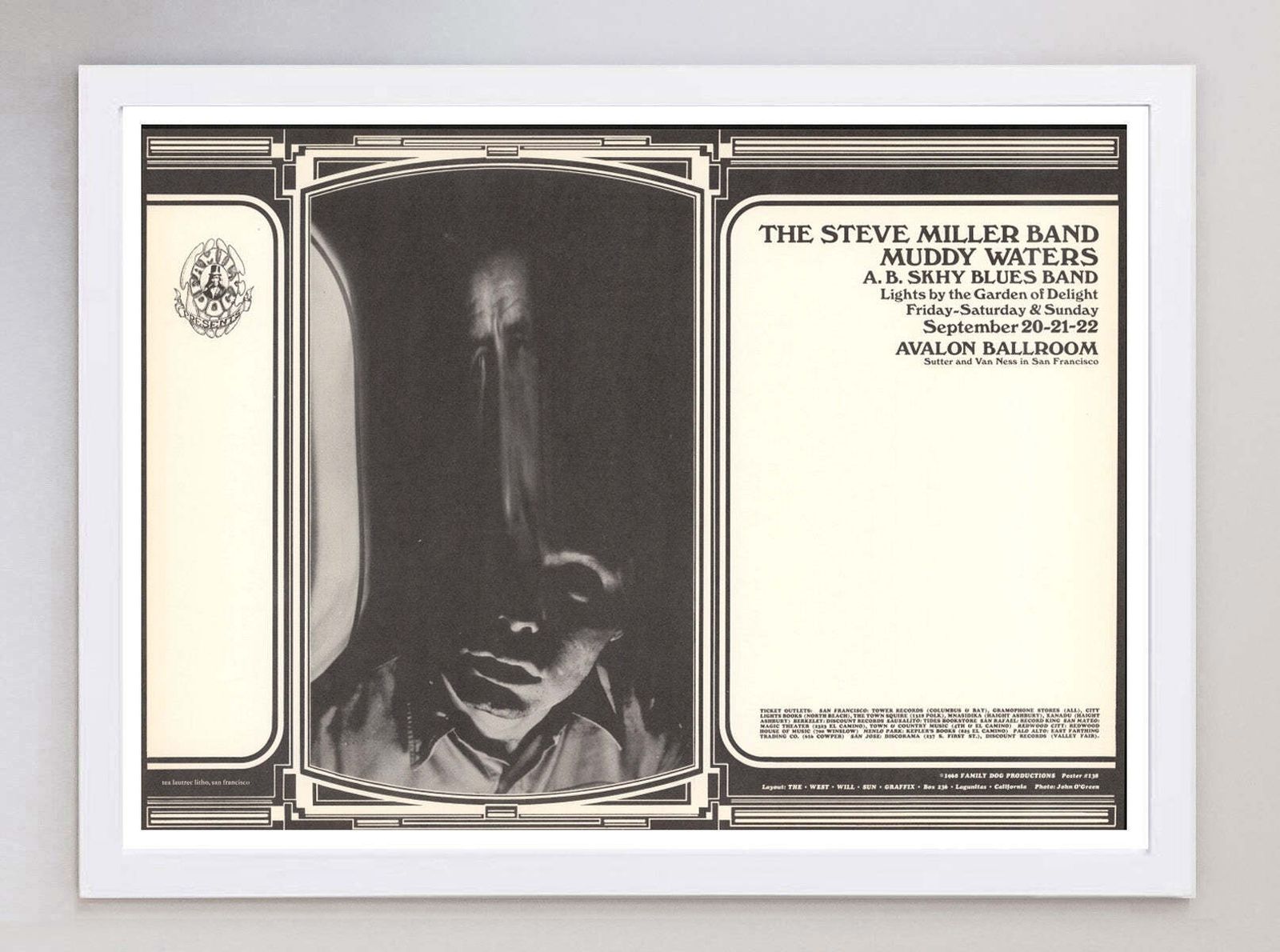 Steve Miller Band & Muddy Waters   Avalon Ballroom" Original Vintage Poster" photo for sale