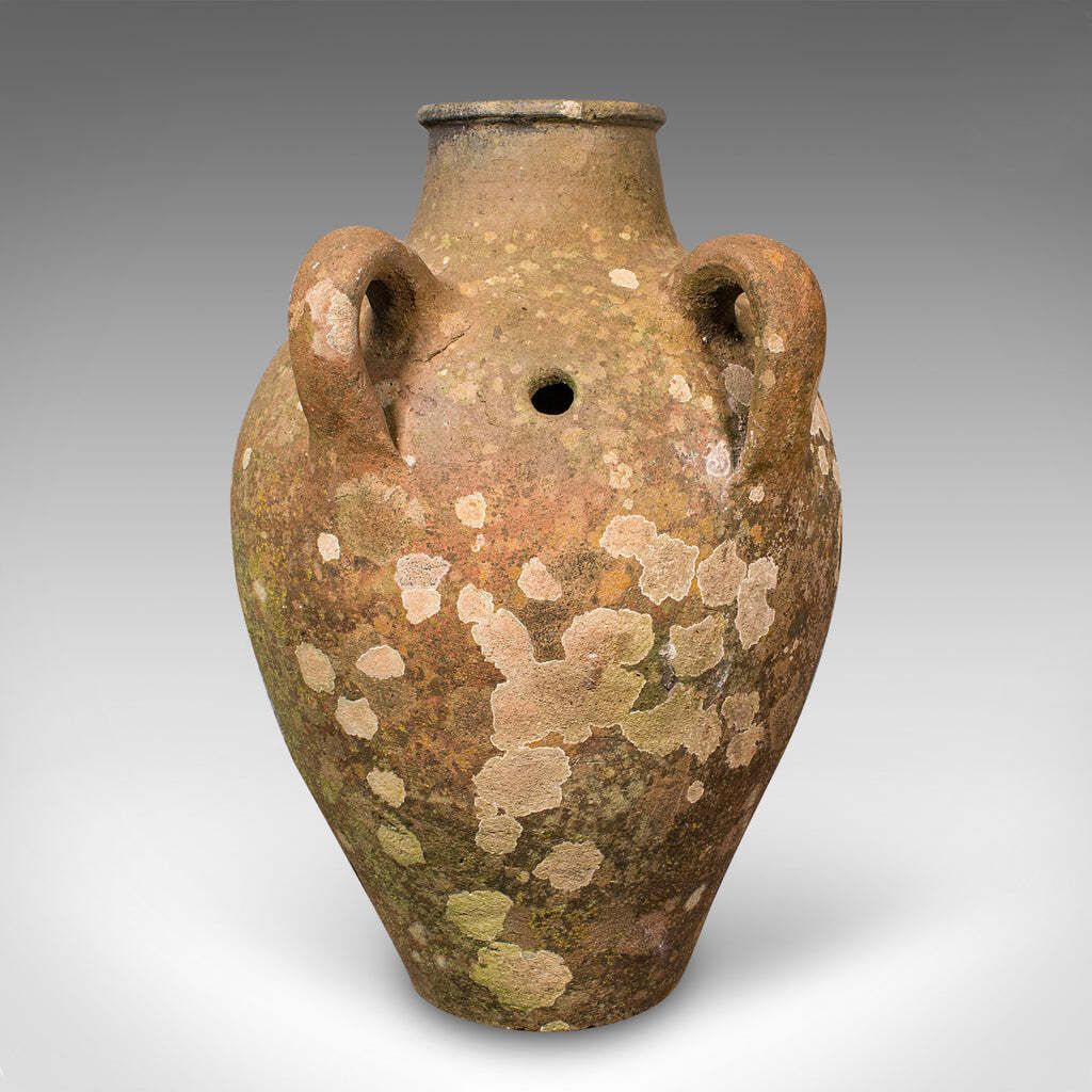 Antique Olive Planter, Italian, Terracotta, Garden Jardiniere, Victorian, C.1900 photo Garden Decor