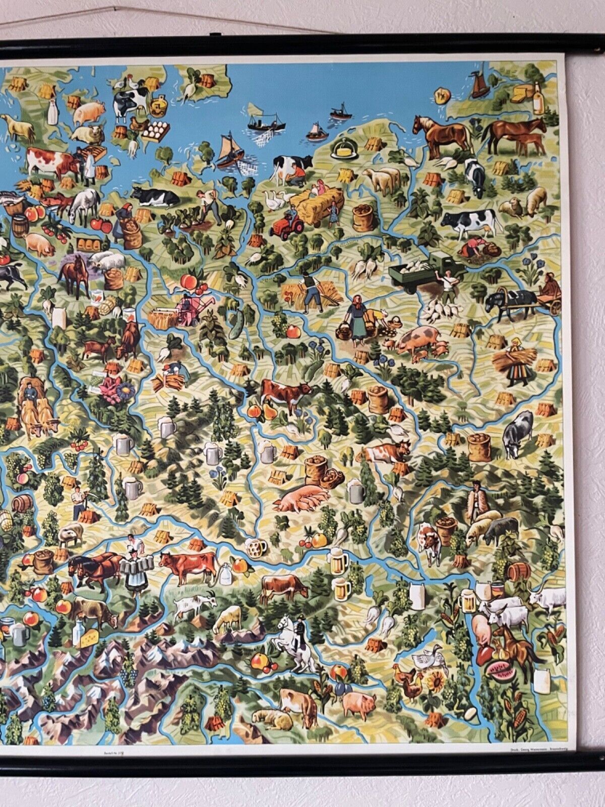 Vintage Pictorial Map Of Mid Europe School Chart Agriculture & Fishing photo for sale