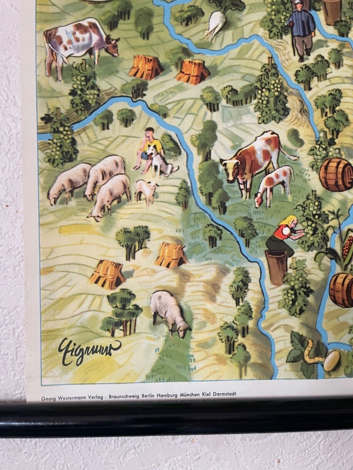Vintage Pictorial Map Of Mid Europe School Chart Agriculture & Fishing photo vinterior