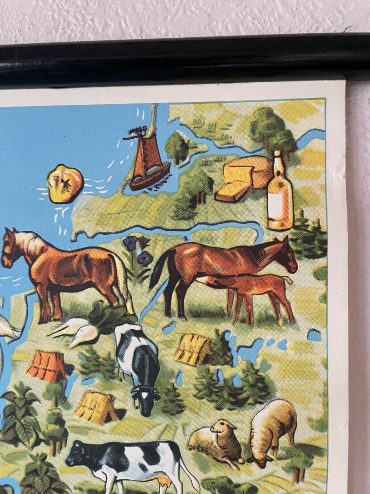 Vintage Pictorial Map Of Mid Europe School Chart Agriculture & Fishing photo vintage