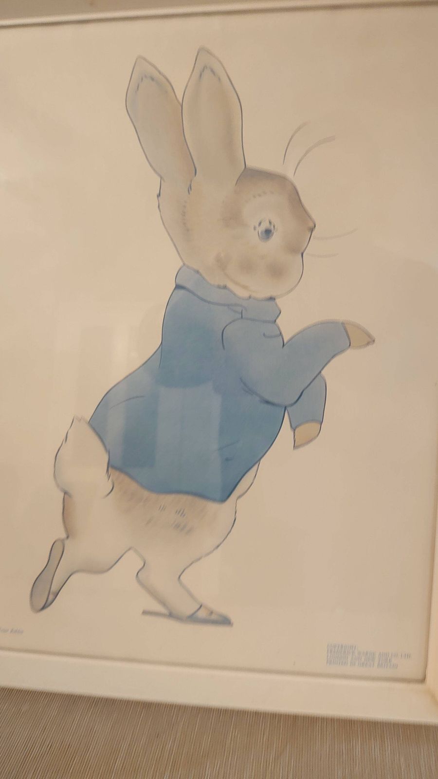 Beatrix Potter's Tale Of Peter Rabbit Print   44cm X 35.5cm   Good To Very Good Condition photo vinterior