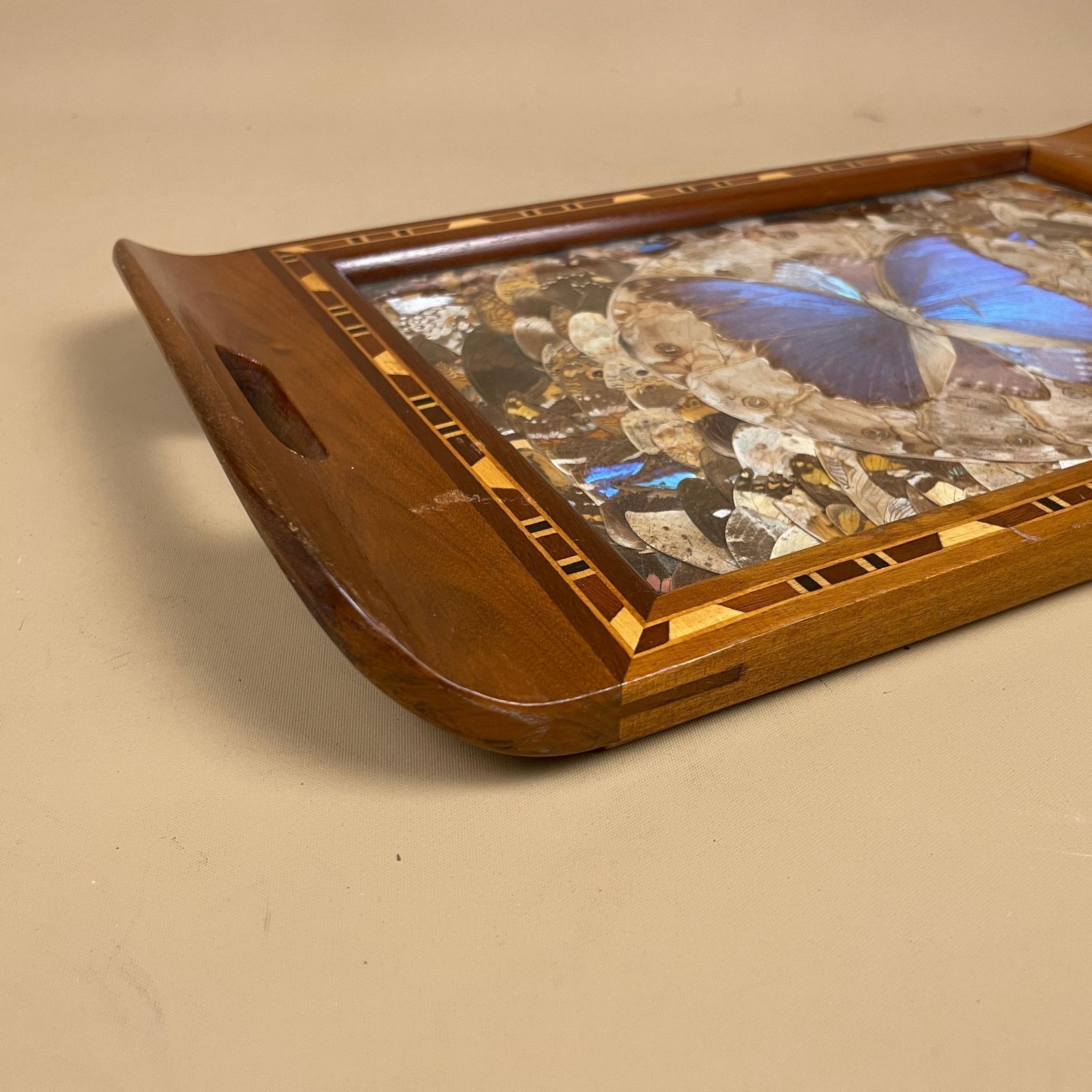 Vintage Wooden Tray Blue Butterfly Wings Rectangle Wood Marquetry Antique Taxidermy Assorted Butterflies Tea Tray Decorative Serving photo 109.0
