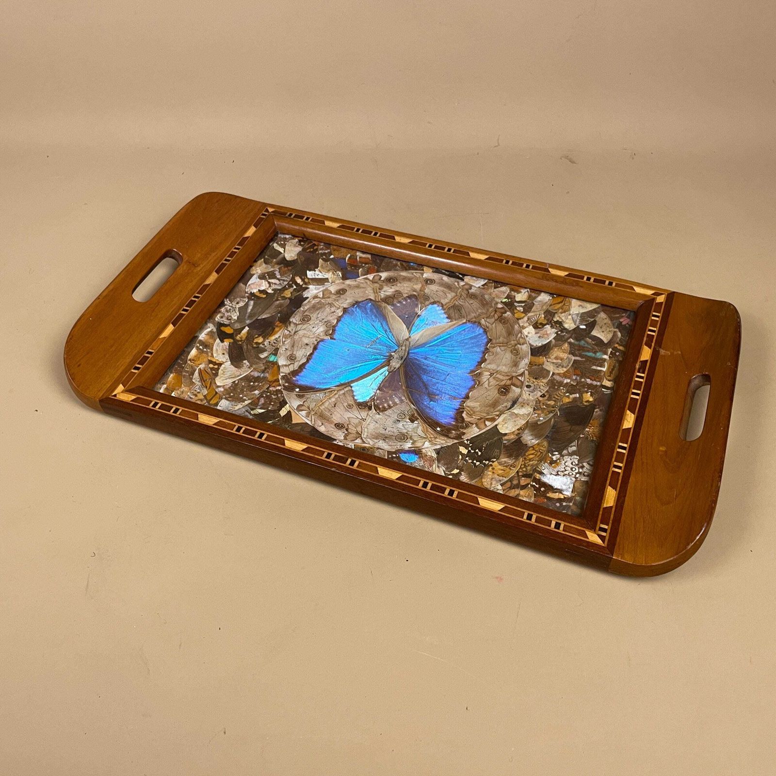 Vintage Wooden Tray Blue Butterfly Wings Rectangle Wood Marquetry Antique Taxidermy Assorted Butterflies Tea Tray Decorative Serving photo buy