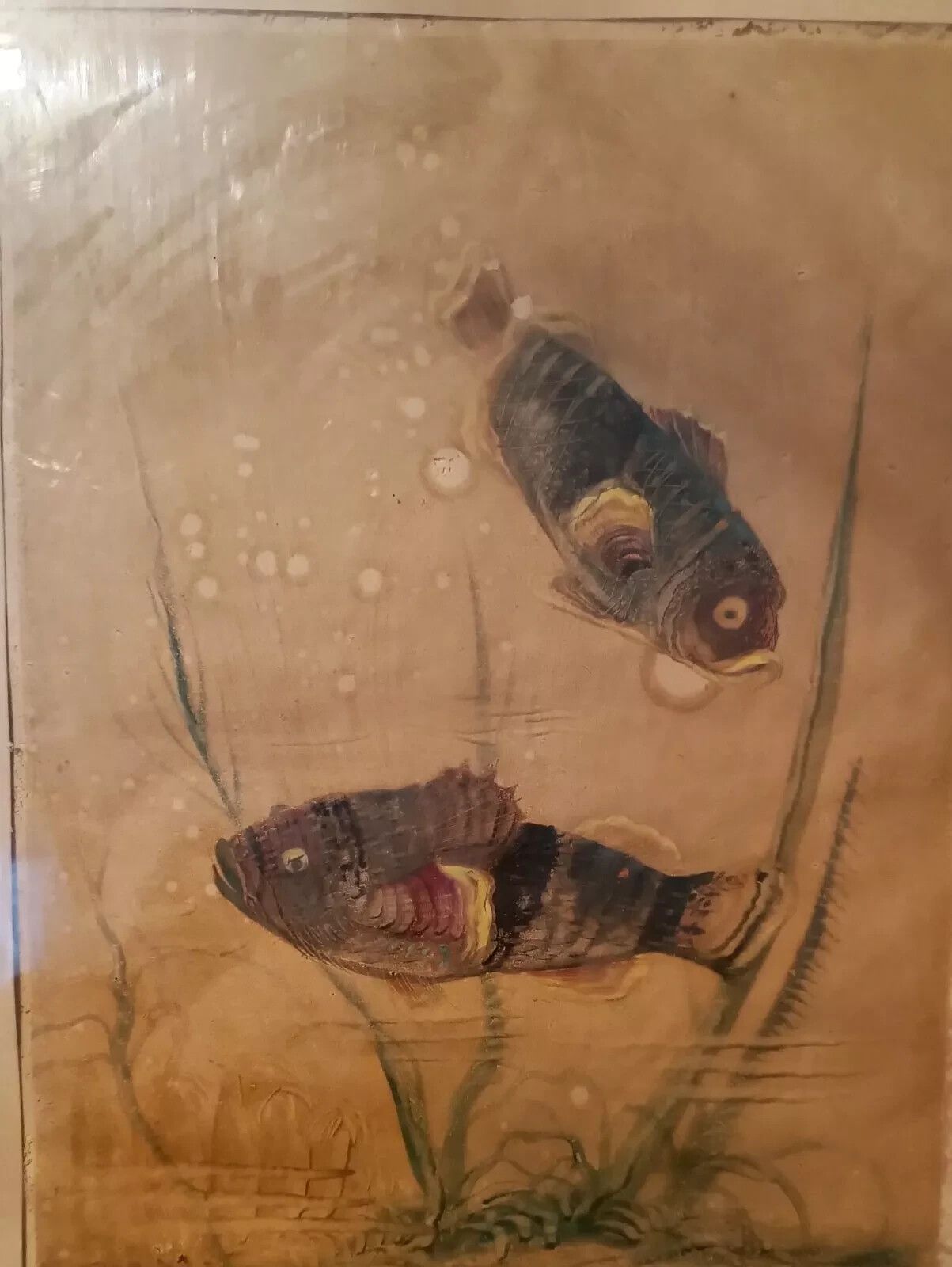 Mixed Media Painting Fish Silvio Polloni (Florence 1888 1972) Wooden Frame photo Art