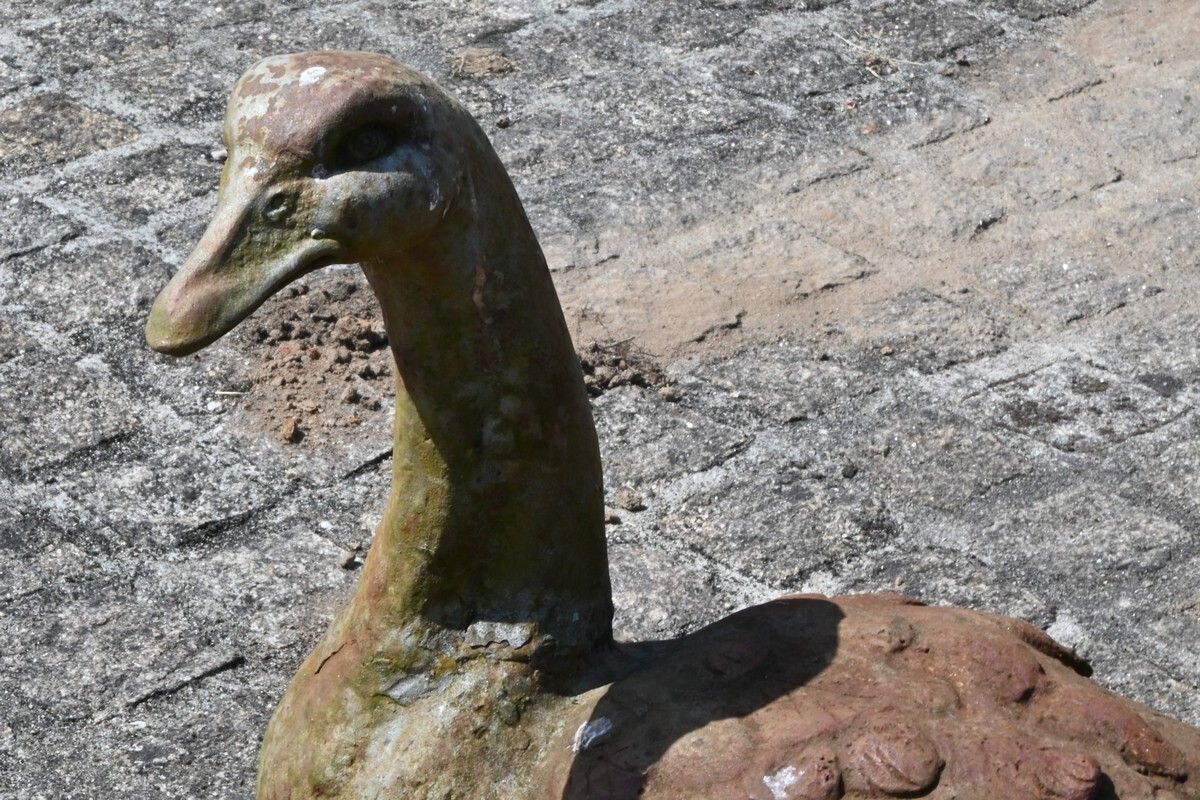 Pair Of Cast Iron Ducks – 20th Century photo buy