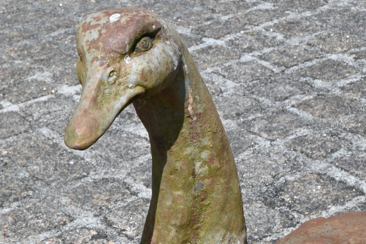 photo furniture Pair Of Cast Iron Ducks – 20th Century