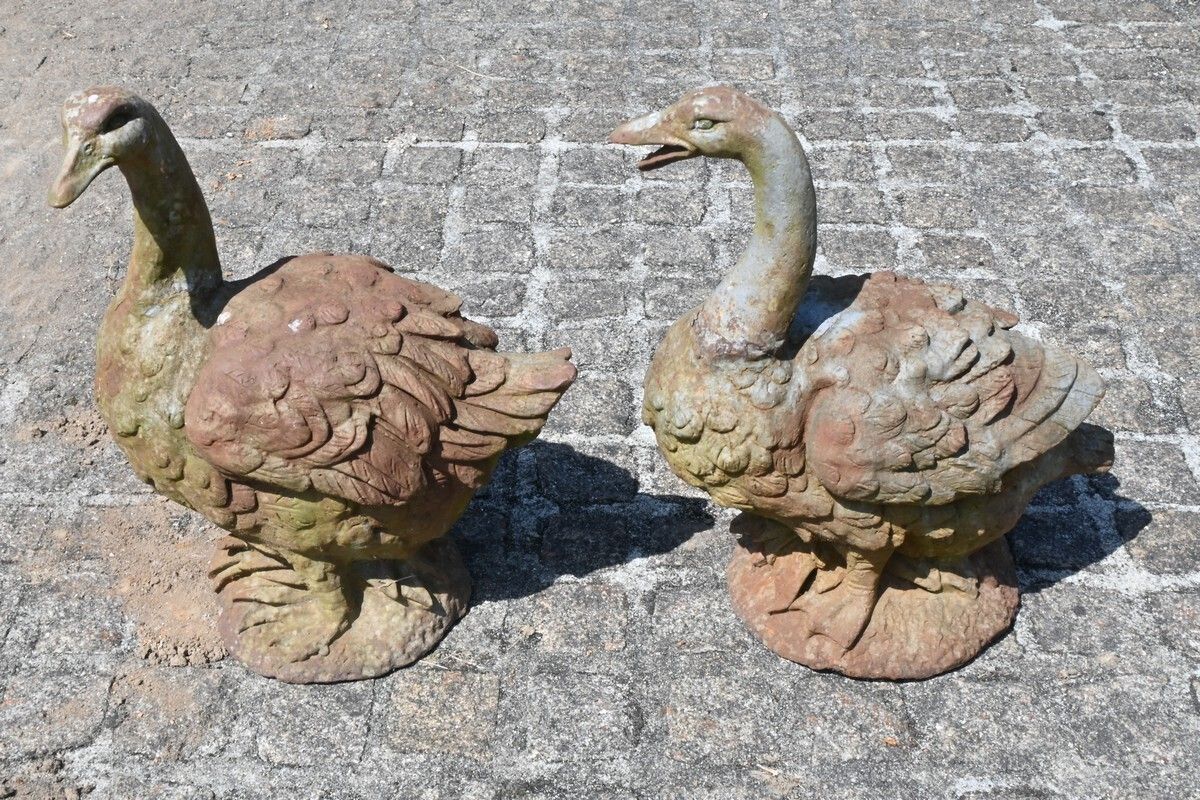 photo buy Pair Of Cast Iron Ducks – 20th Century