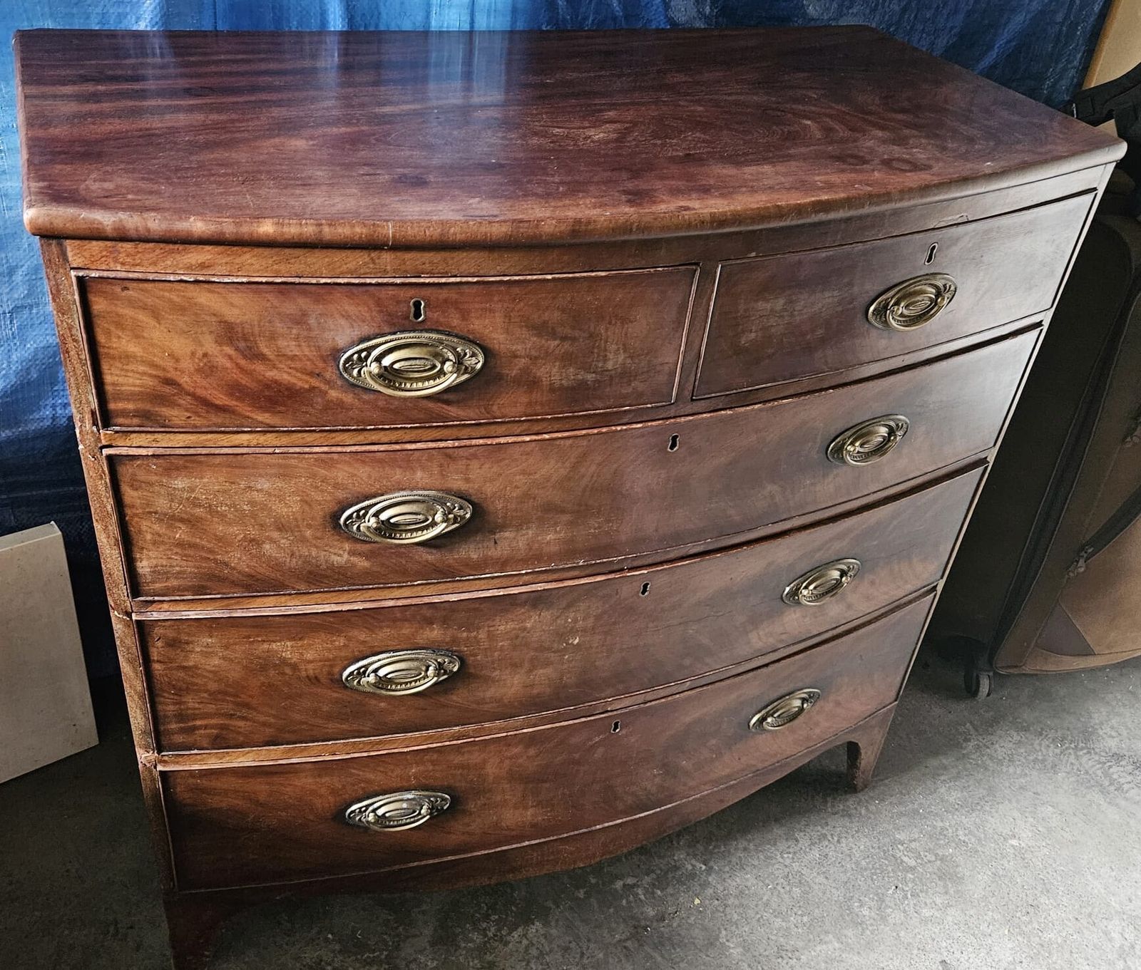 Mahogany 19th Century English Bow Front Chest Circa 1860 photo for sale