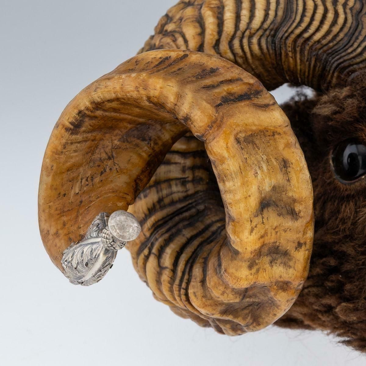 photo for sale Antique 19th Century Victorian Silver Mounted Ram’s Head Snuff Mull C.1874