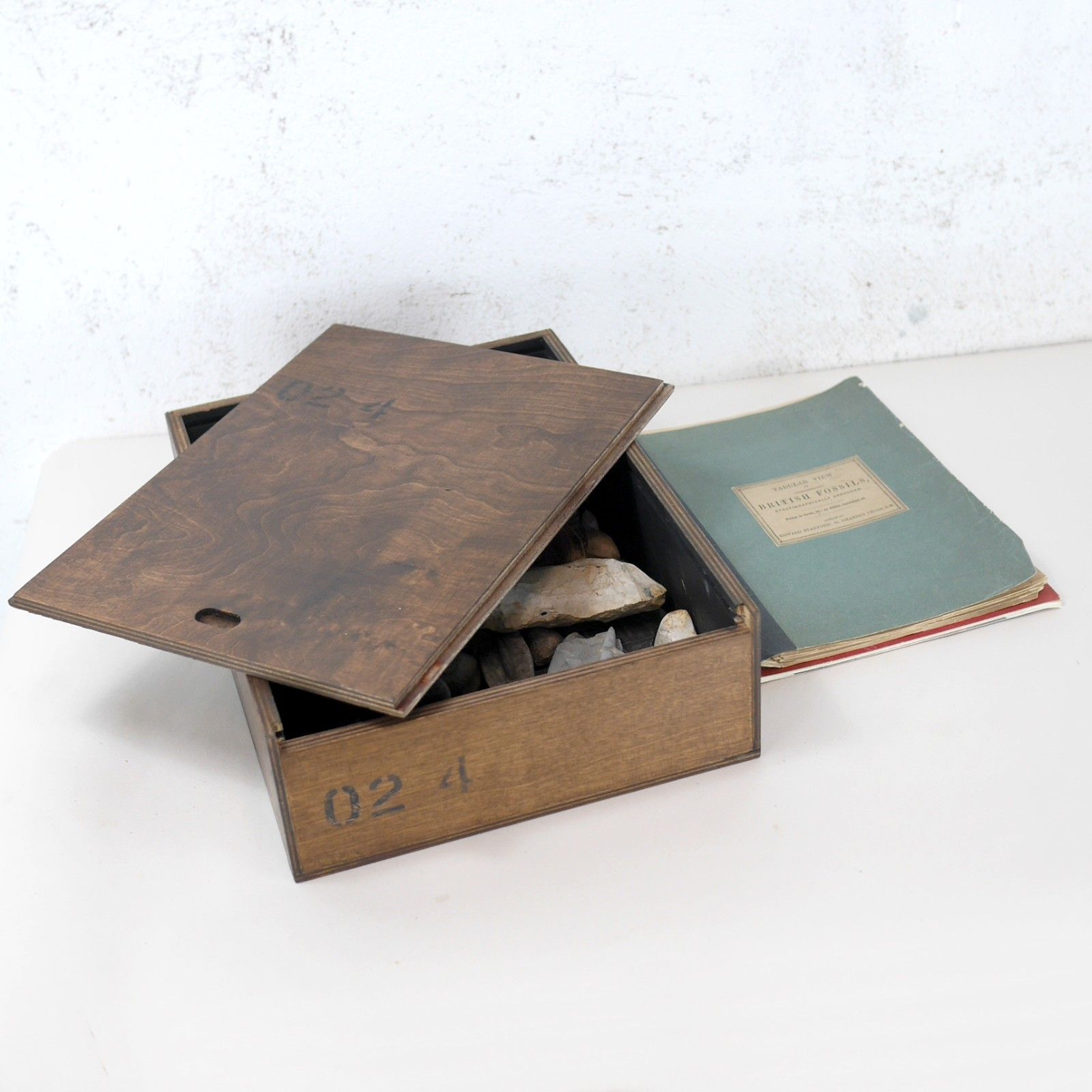 Vintage Collection Fossils Ammonite Petrified Wood Box Book #102947 photo furniture