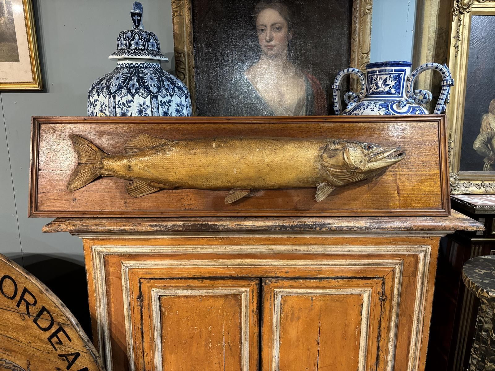Victorian Taxidermy Pike, 1800s