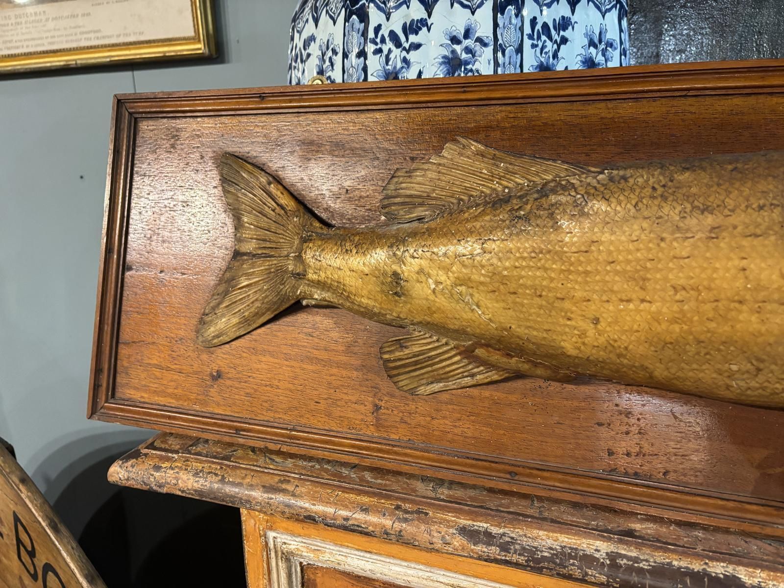 Victorian Taxidermy Pike, 1800s photo Home Decor