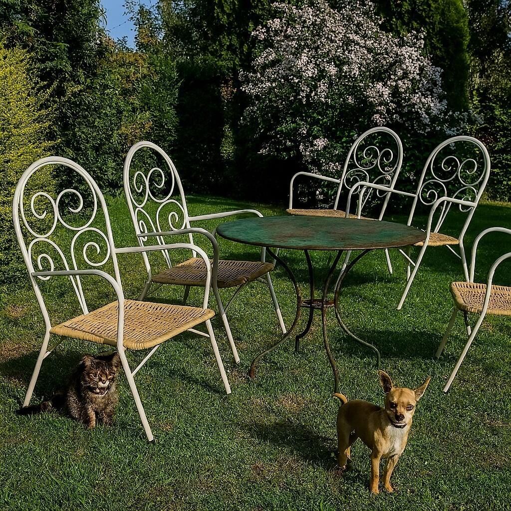 Vintage Garden Chairs Enamelled Iron Plastic Design Italy 1960s photo furniture
