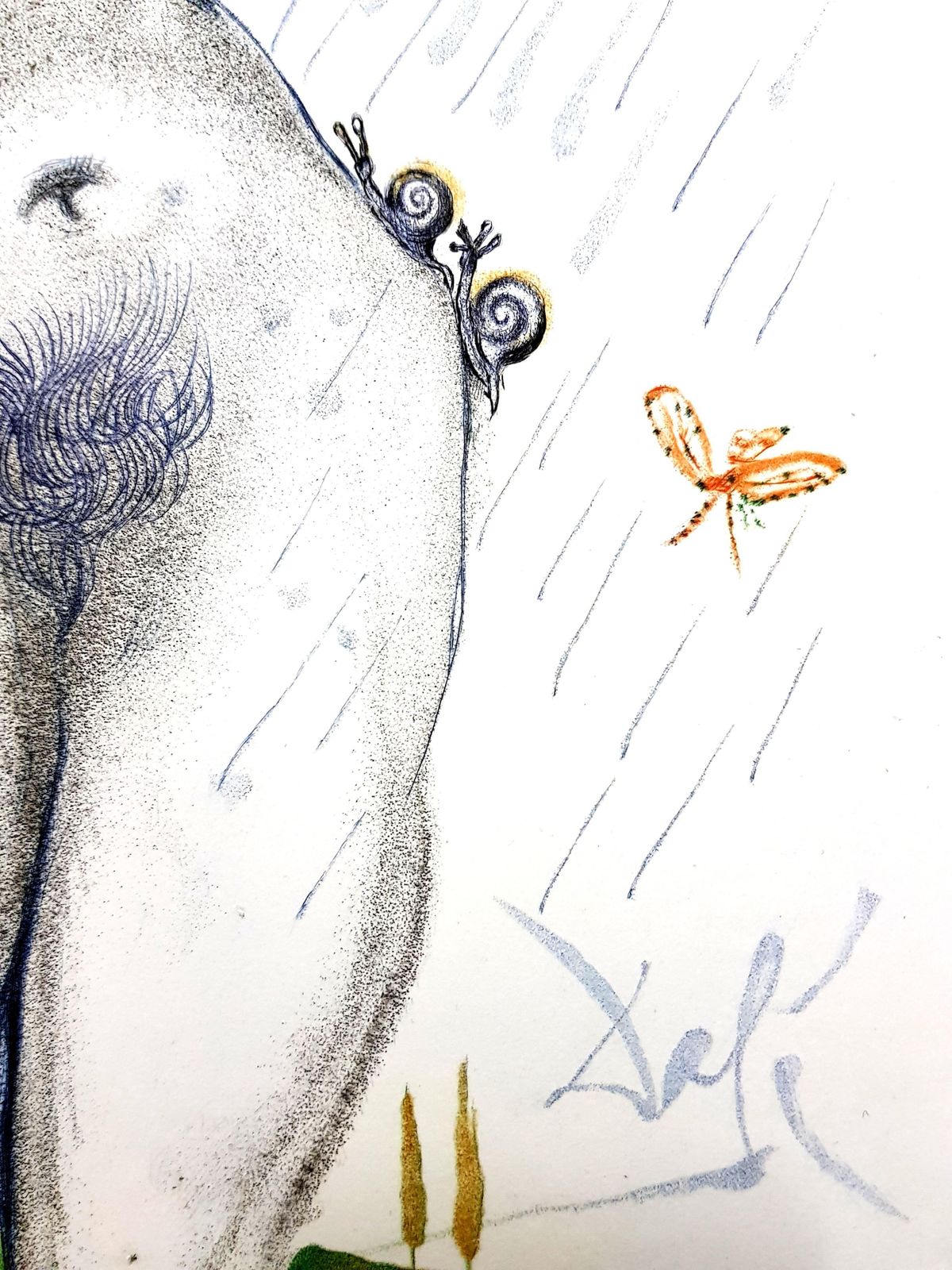 Salvador Dalí­Salvador Dali   Nude With Snails Breats1967 photo furniture