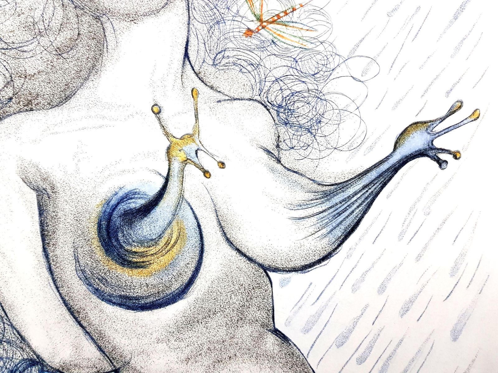 Salvador Dalí­Salvador Dali   Nude With Snails Breats1967 photo for sale