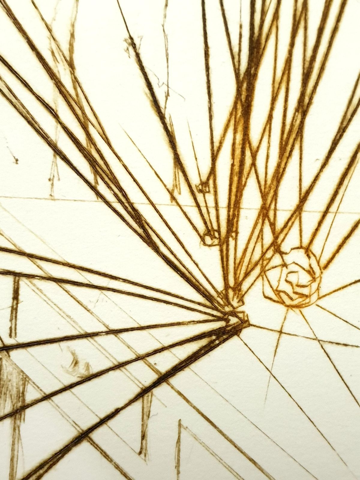 Salvador Dalí­Salvador Dali   Pierre Curie   Original Handsigned Engraving1970 photo vinterior