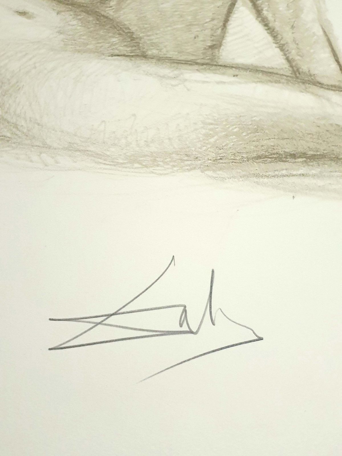 Salvador Dalí­Salvador Dali   Nude Couples   Lithograph1970 photo Art