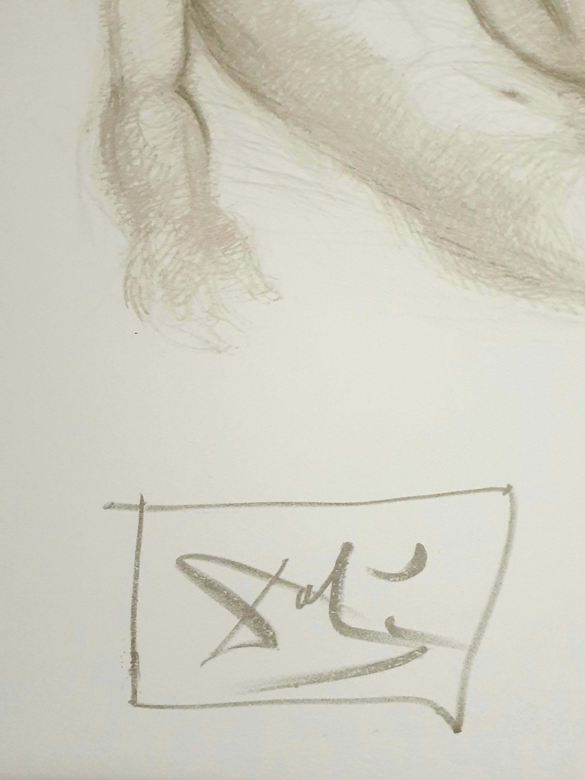 Salvador Dalí­Salvador Dali   Nude Couples   Lithograph1970 photo 7574.0