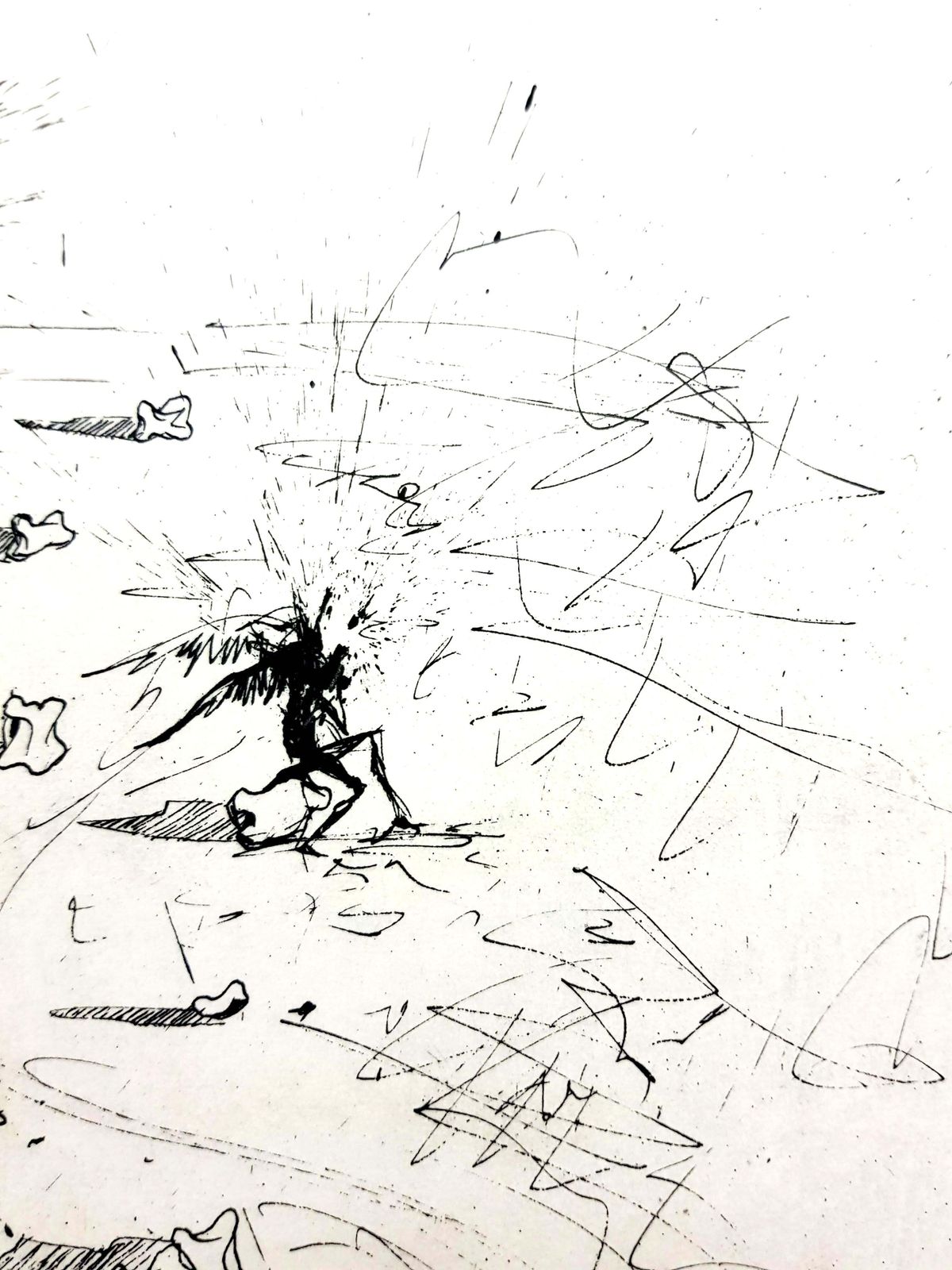 Salvador Dalí­Salvador Dali   The Trenches   Original Etching1967 photo vinterior