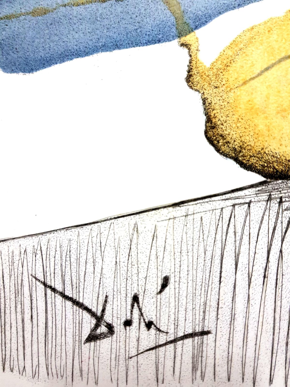 Salvador Dalí­Salvador Dali   Cut Cucumber   Original Etching1967 photo furniture