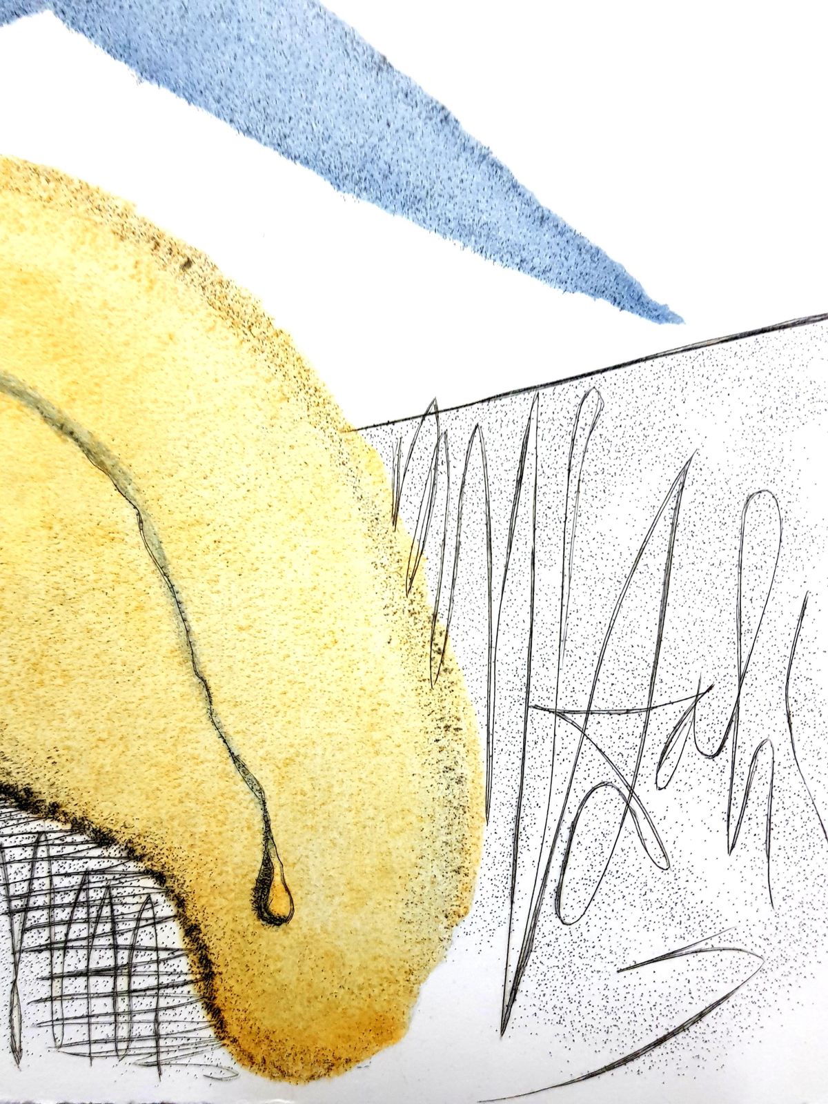 Salvador Dalí­Salvador Dali   Cut Cucumber   Original Etching1967 photo 2291.0