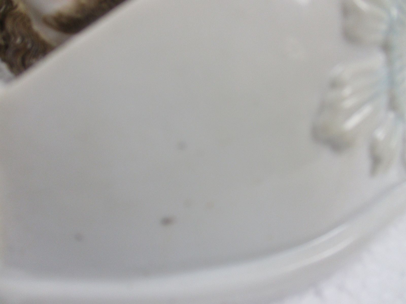 Holy Water Font Vessel  Jesus Christ Head Bisque Htf Beautiful Large photo 153.0