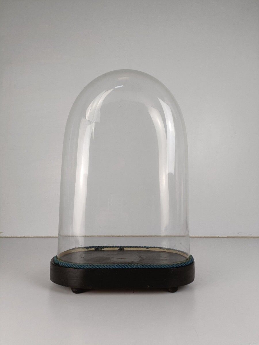 Antique Victorian Oval Hand Blown Glass Globe Dome Doll Clock 18.7" 12.2" photo furniture