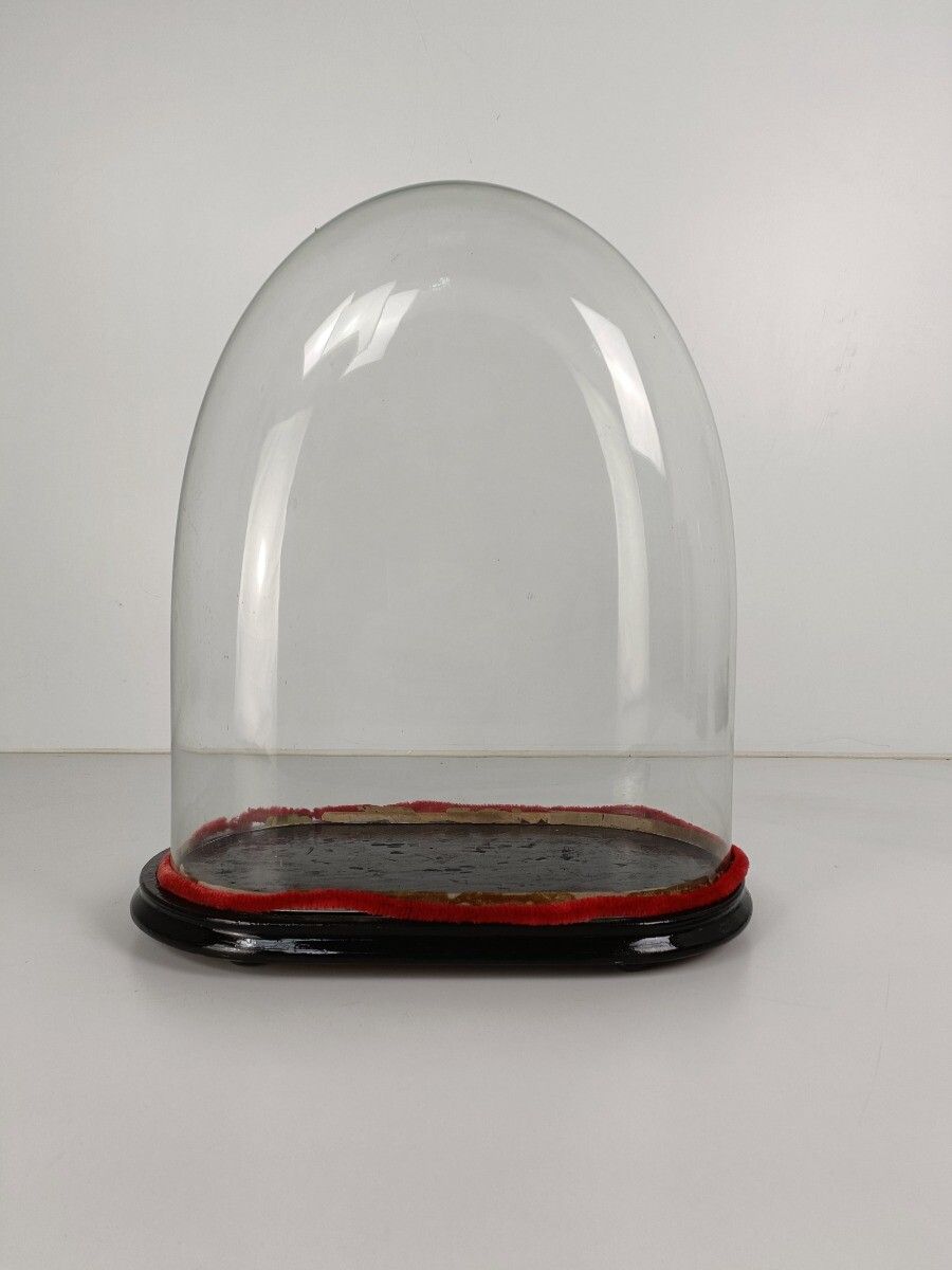 Antique Victorian Oval Hand Blown Glass Globe Dome Doll Clock 18.18"H 15.35"W8.0 photo furniture