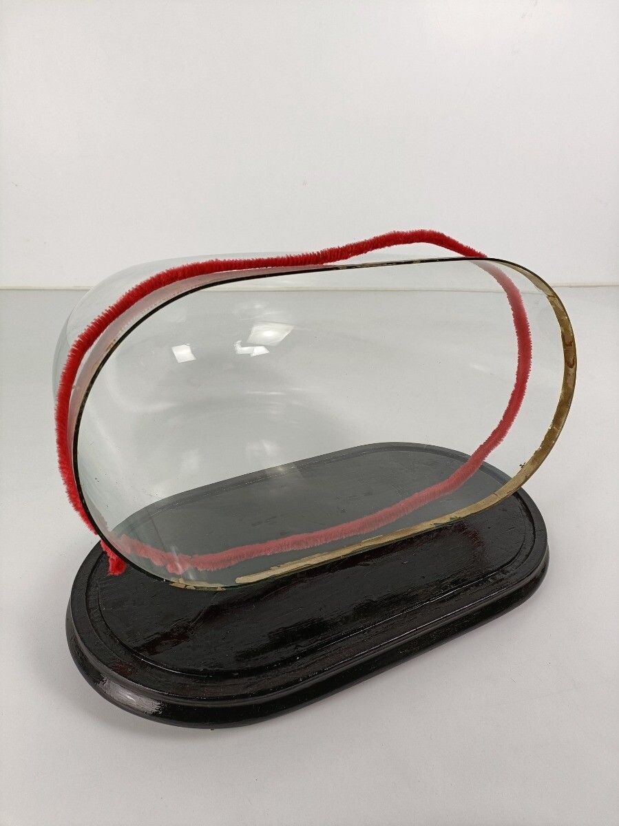 Antique Victorian Oval Hand Blown Glass Globe Dome Doll Clock 18.18"H 15.35"W8.0 photo buy