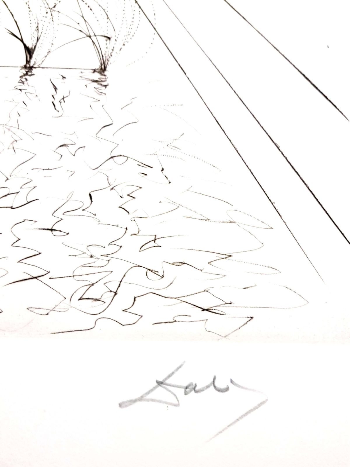 Salvador Dali   City Hall   San Francisco   Original Hand Signed Etching1970 photo for sale